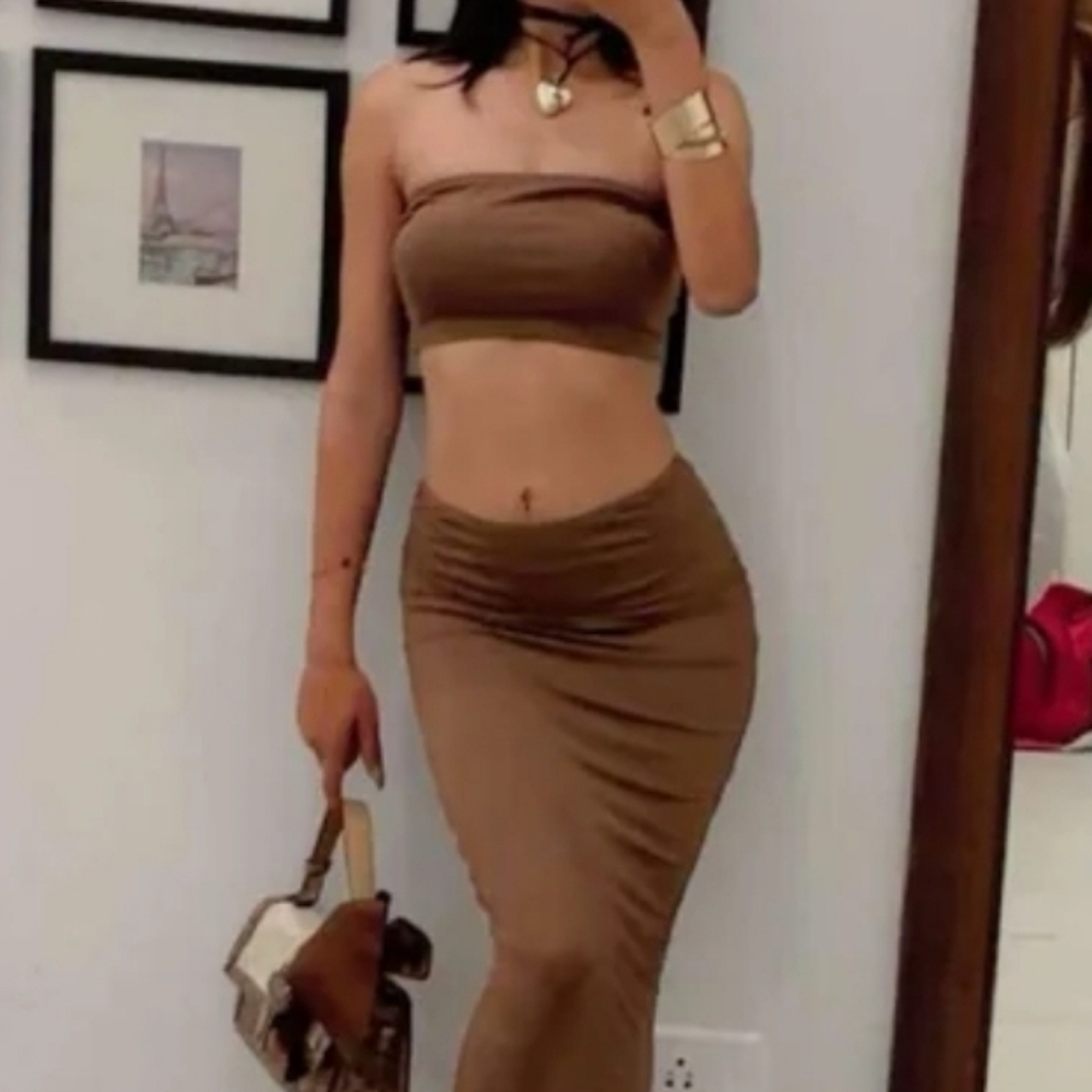 Elegant Brown Women's Skirt And Top